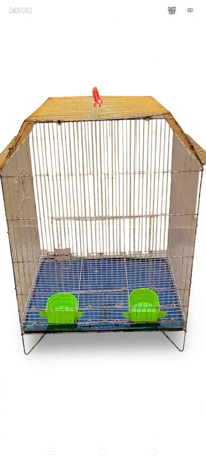 Bird Cage 2 Foot - Good Condition with Feeders - Karachi — photo 2