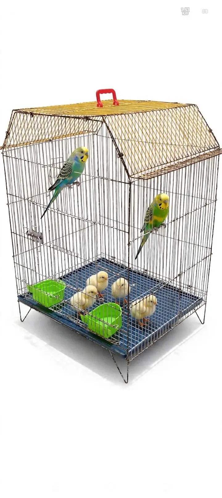 Bird Cage 2 Foot - Good Condition with Feeders - Karachi — photo 4