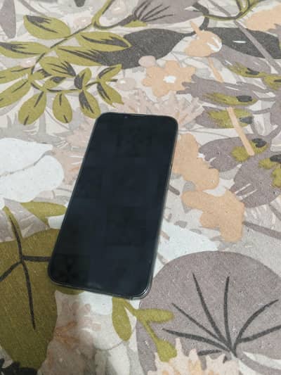 Apple iPhone 13 Pro