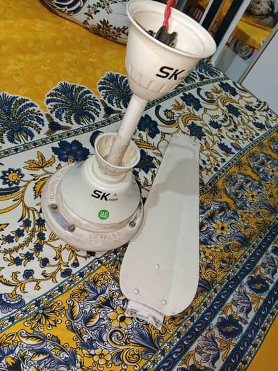 SK fans