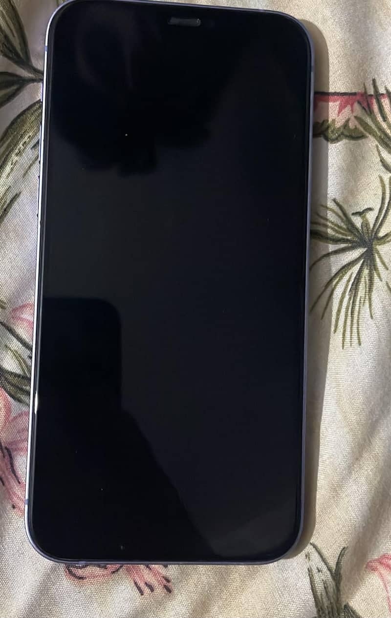 Apple iPhone 12 1