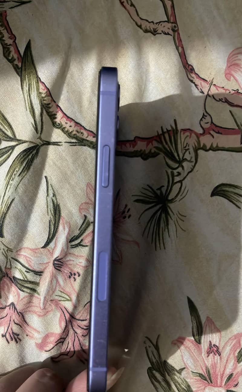 Apple iPhone 12 2