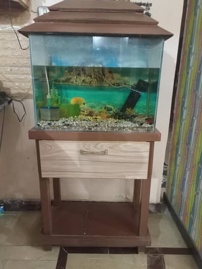 Aquarium for sale
