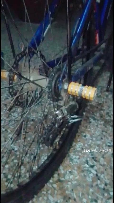 BICYCLE 9