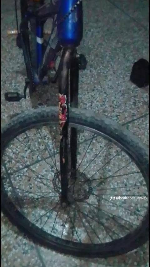BICYCLE 10