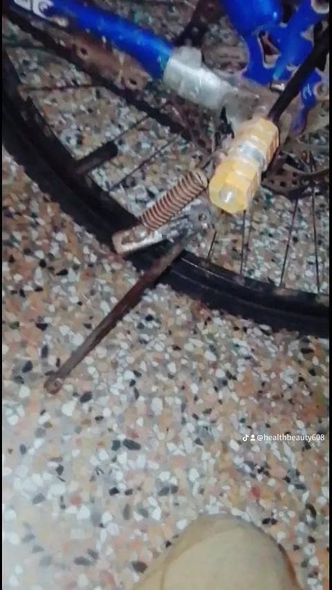 BICYCLE 12