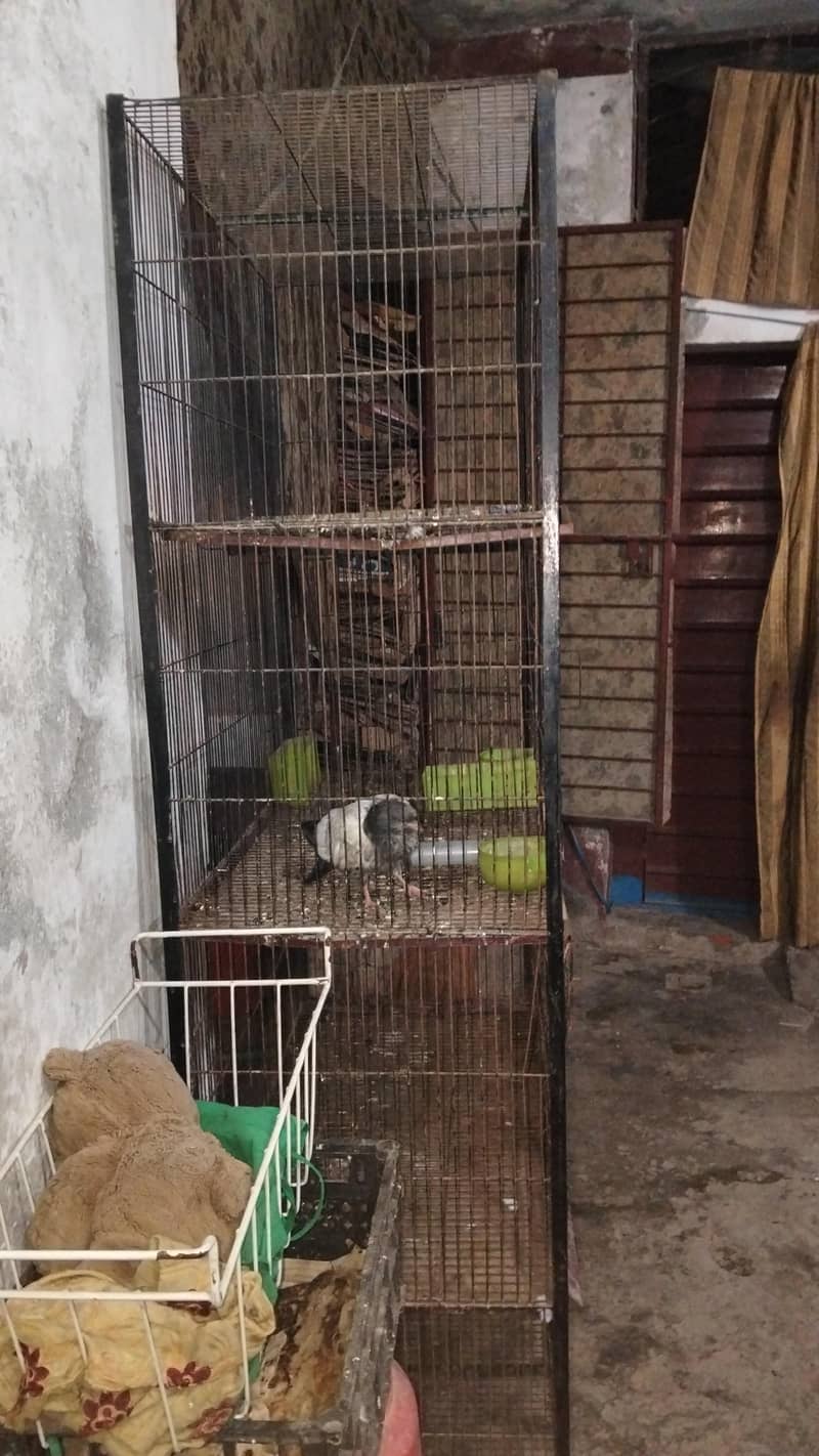 cages 1