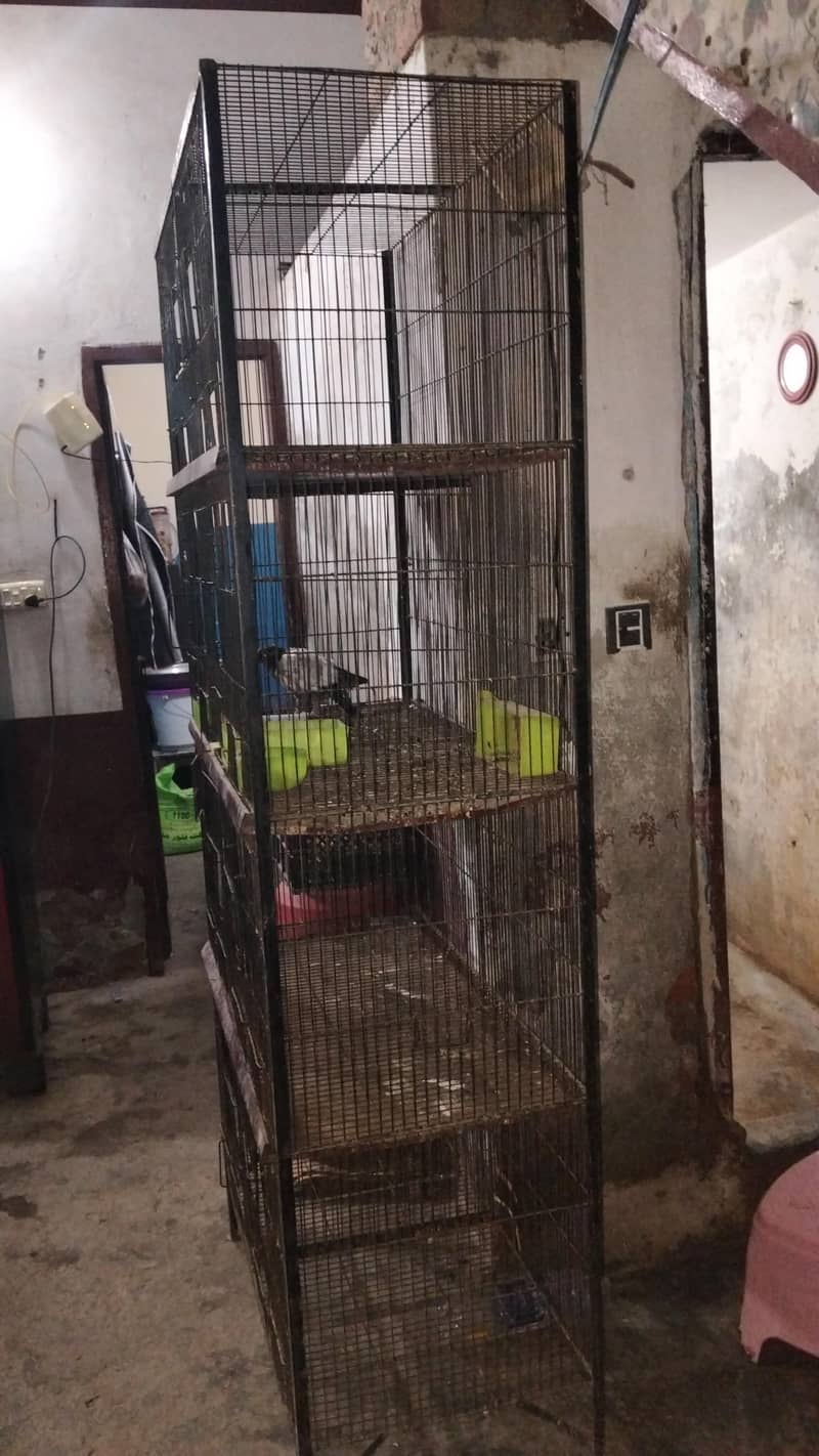 cages 3