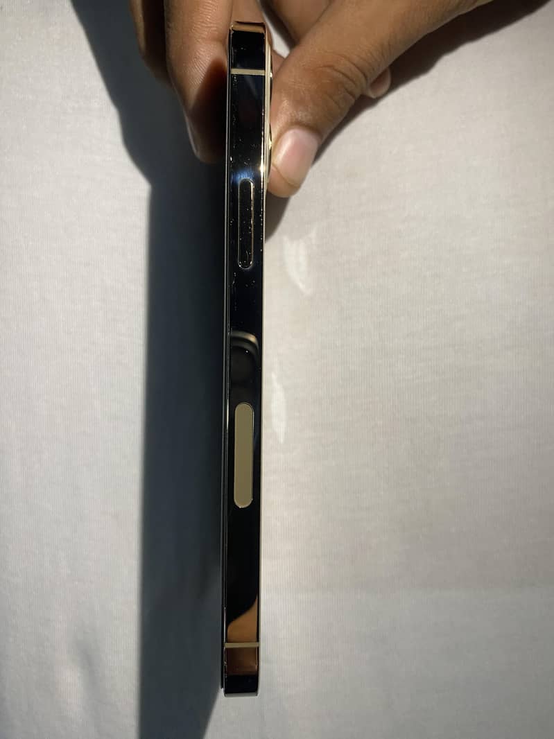 Apple iPhone 12 Pro 4