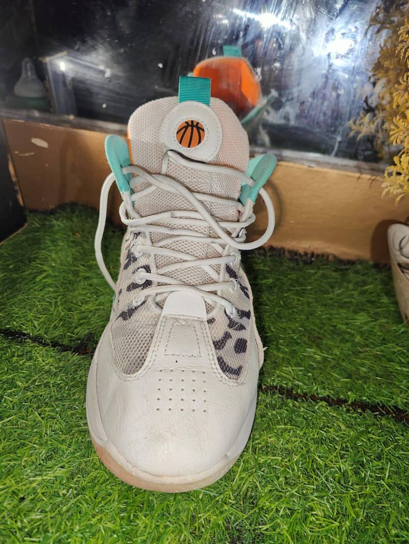 thirfted shose all type 1