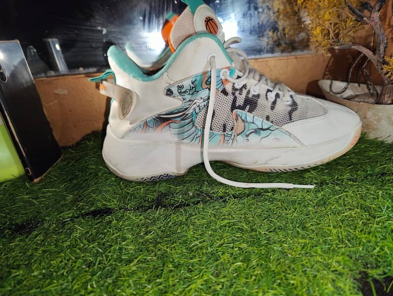 thirfted shose all type 2