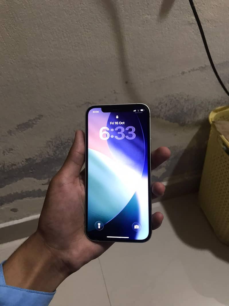 Apple iPhone 12 1
