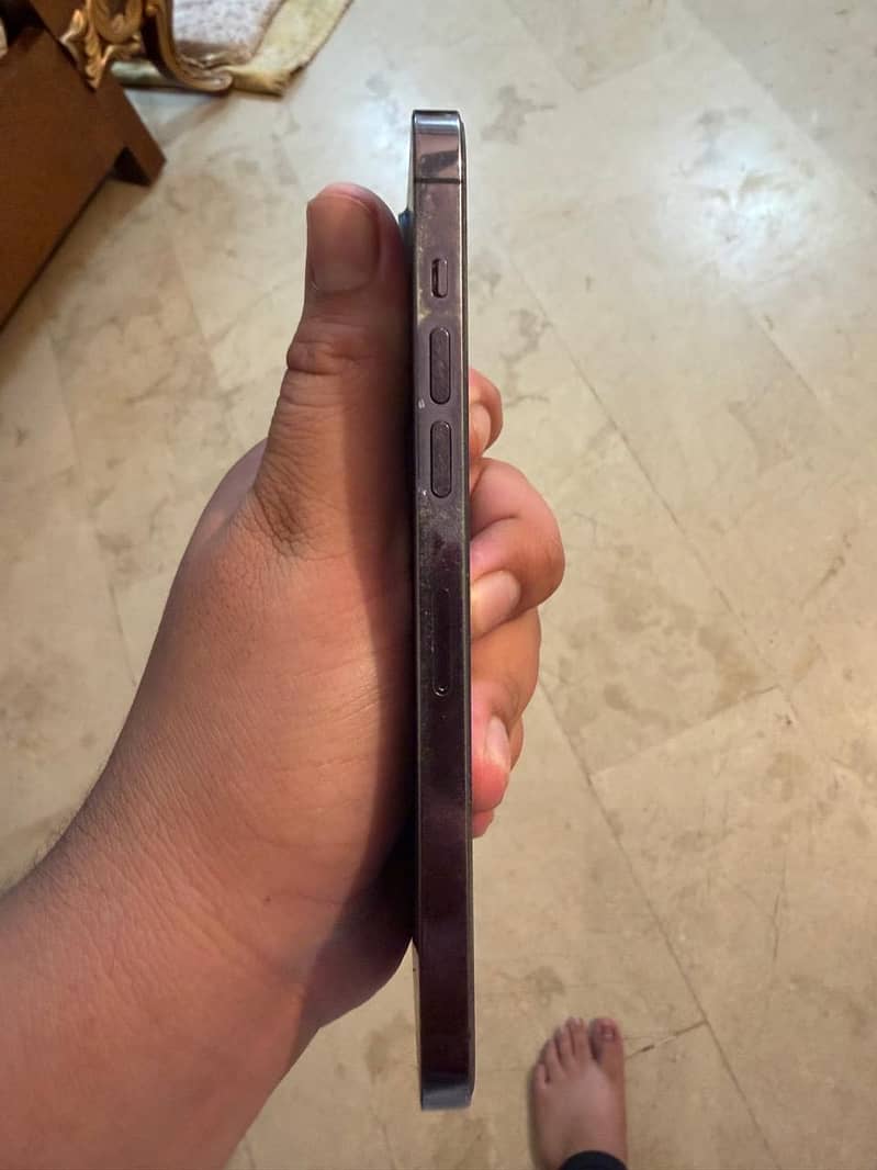 Apple iPhone 14 Pro Max 3