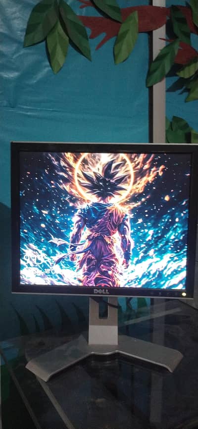 DELL LCD Monitor