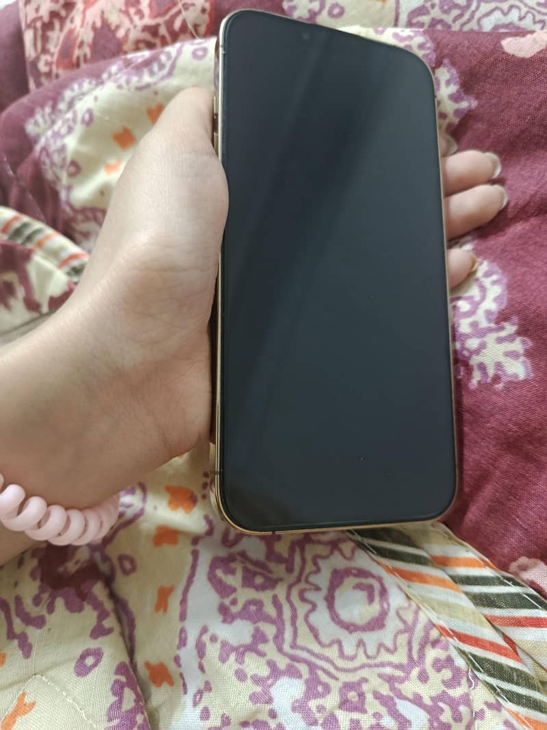 Apple iPhone 13 Pro 1