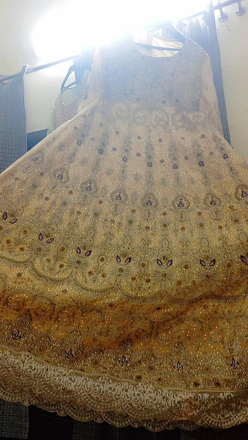 walima maxi 2