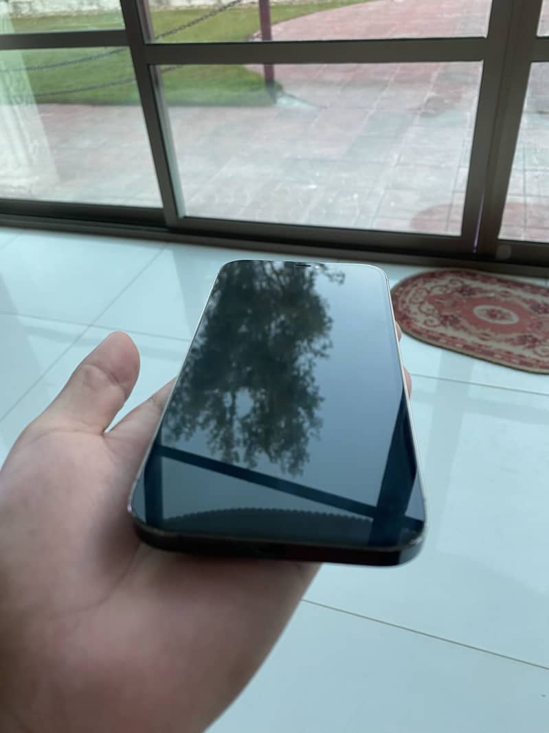 Apple iPhone 12 Pro Max 1