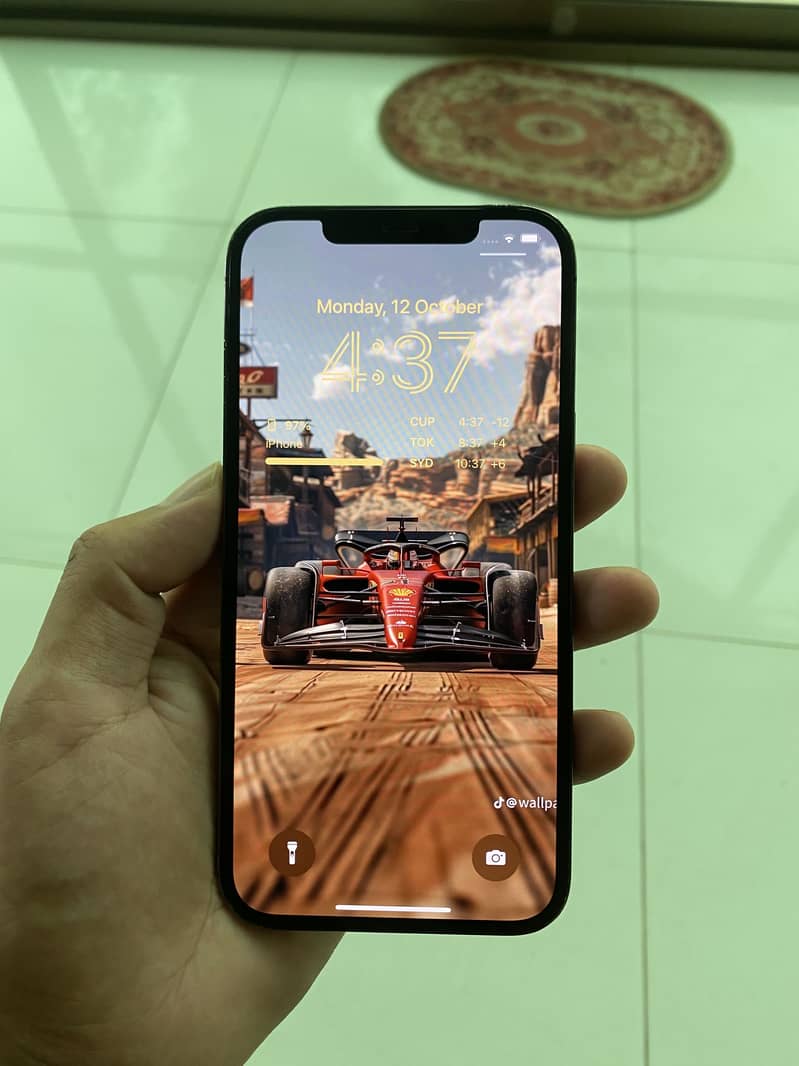 Apple iPhone 12 Pro Max 12