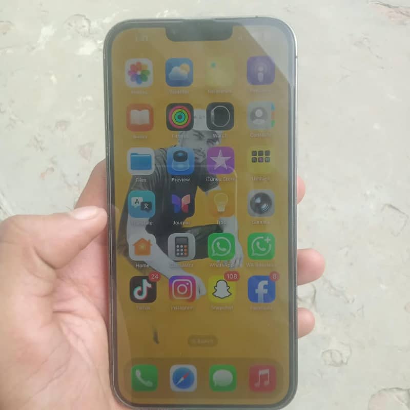 Apple iPhone 13 Pro Max 1