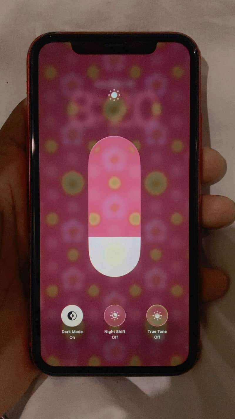 Apple iPhone 11 3