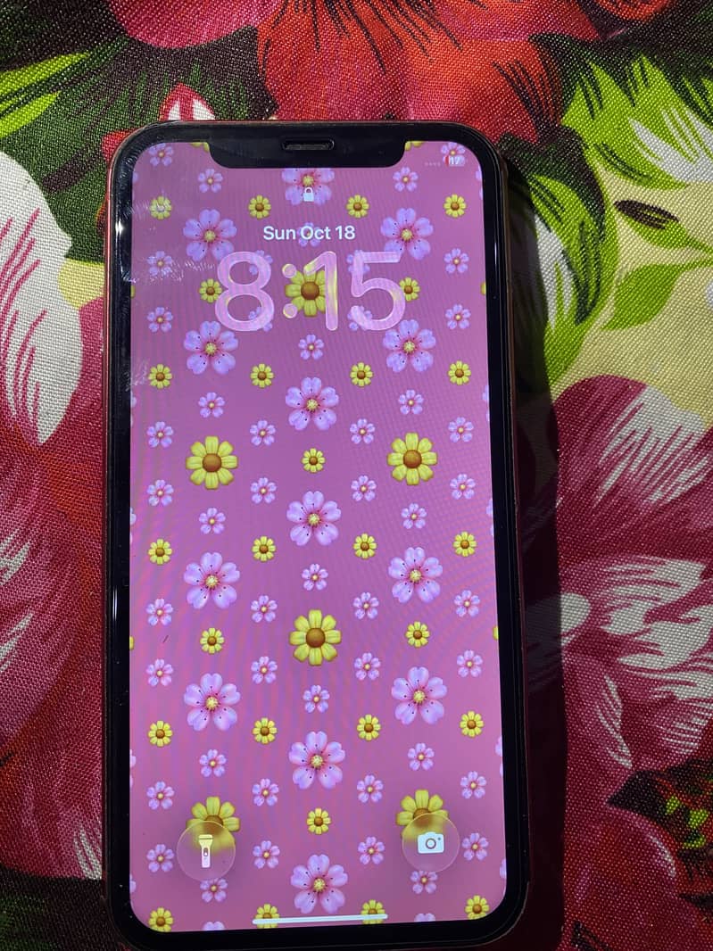 Apple iPhone 11 4
