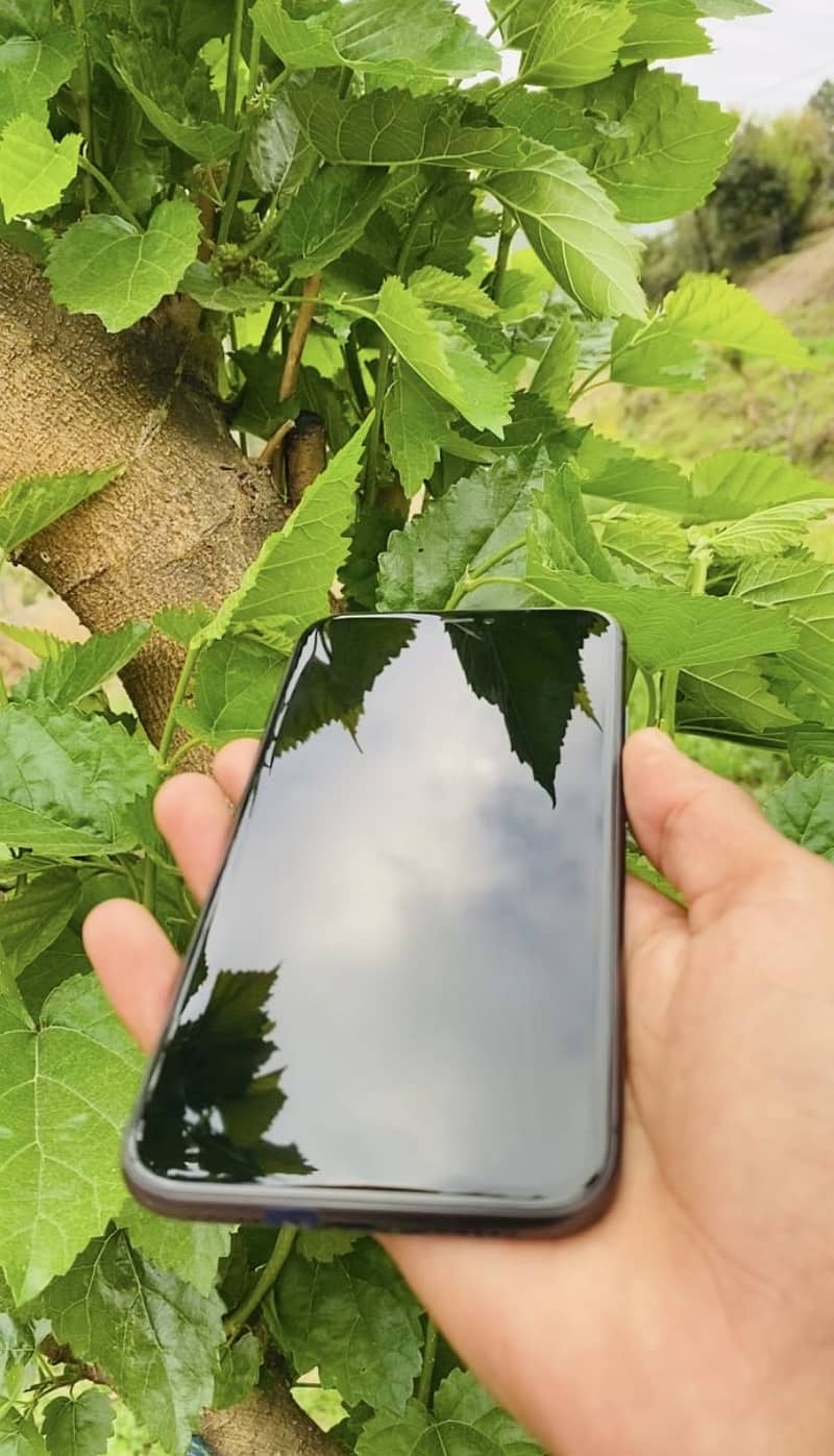 Apple iPhone 11 2
