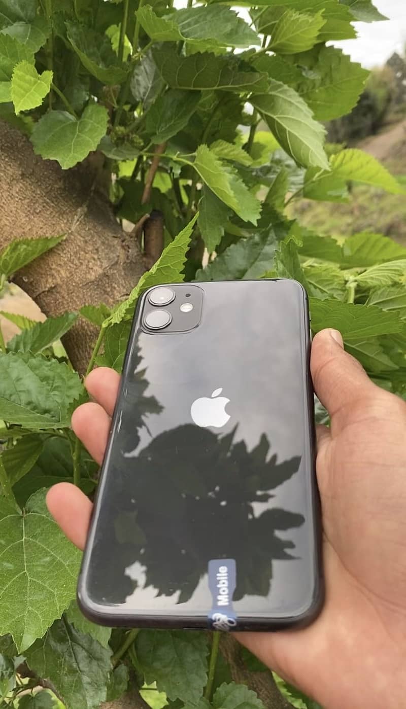 Apple iPhone 11 3