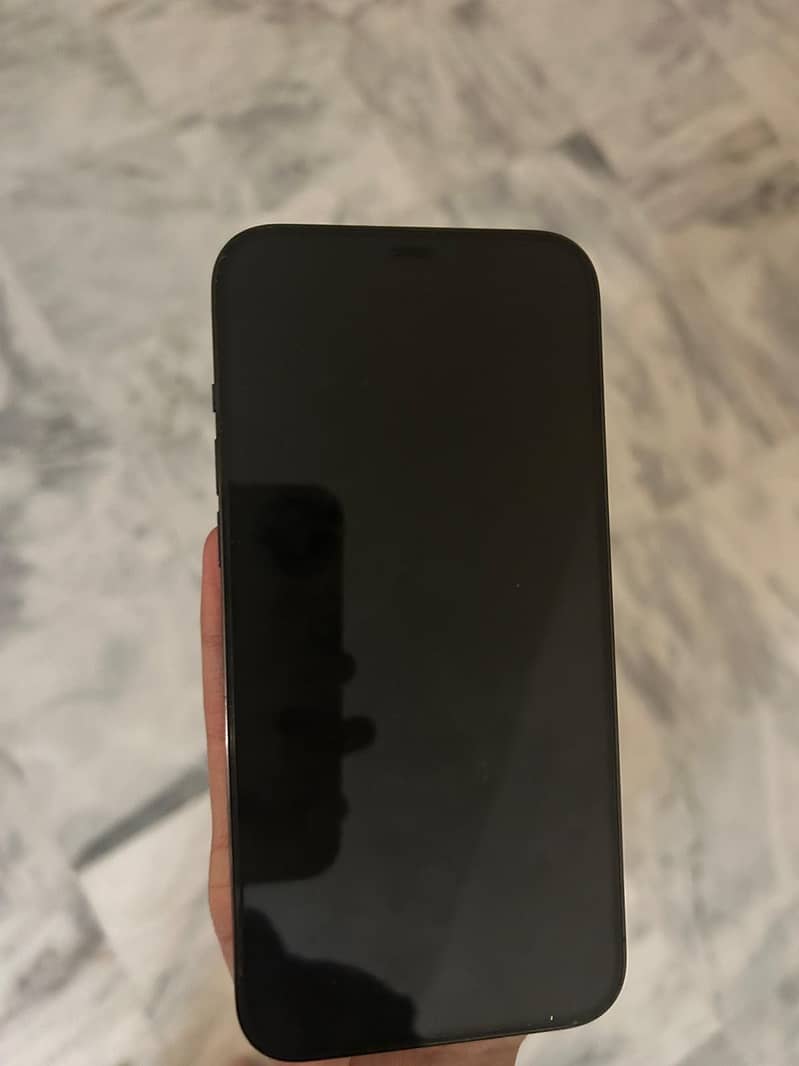 Apple iPhone 12 Pro Max 1