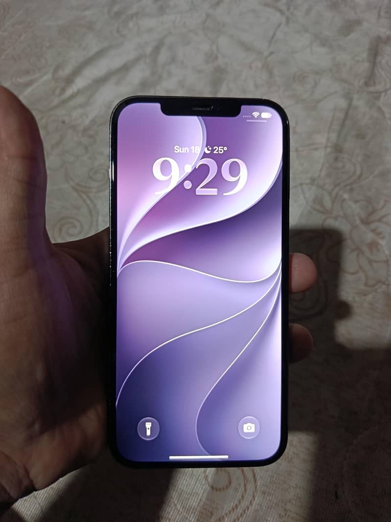 Apple iPhone 12 Pro Max 4