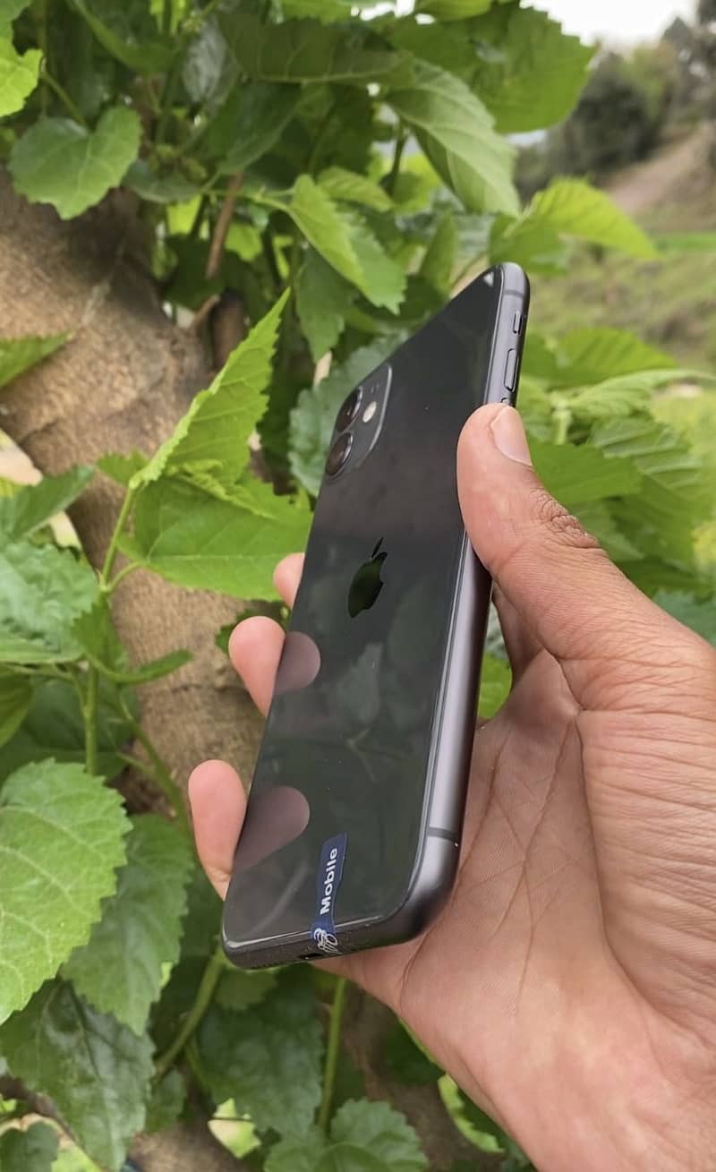 Apple iPhone 11 1