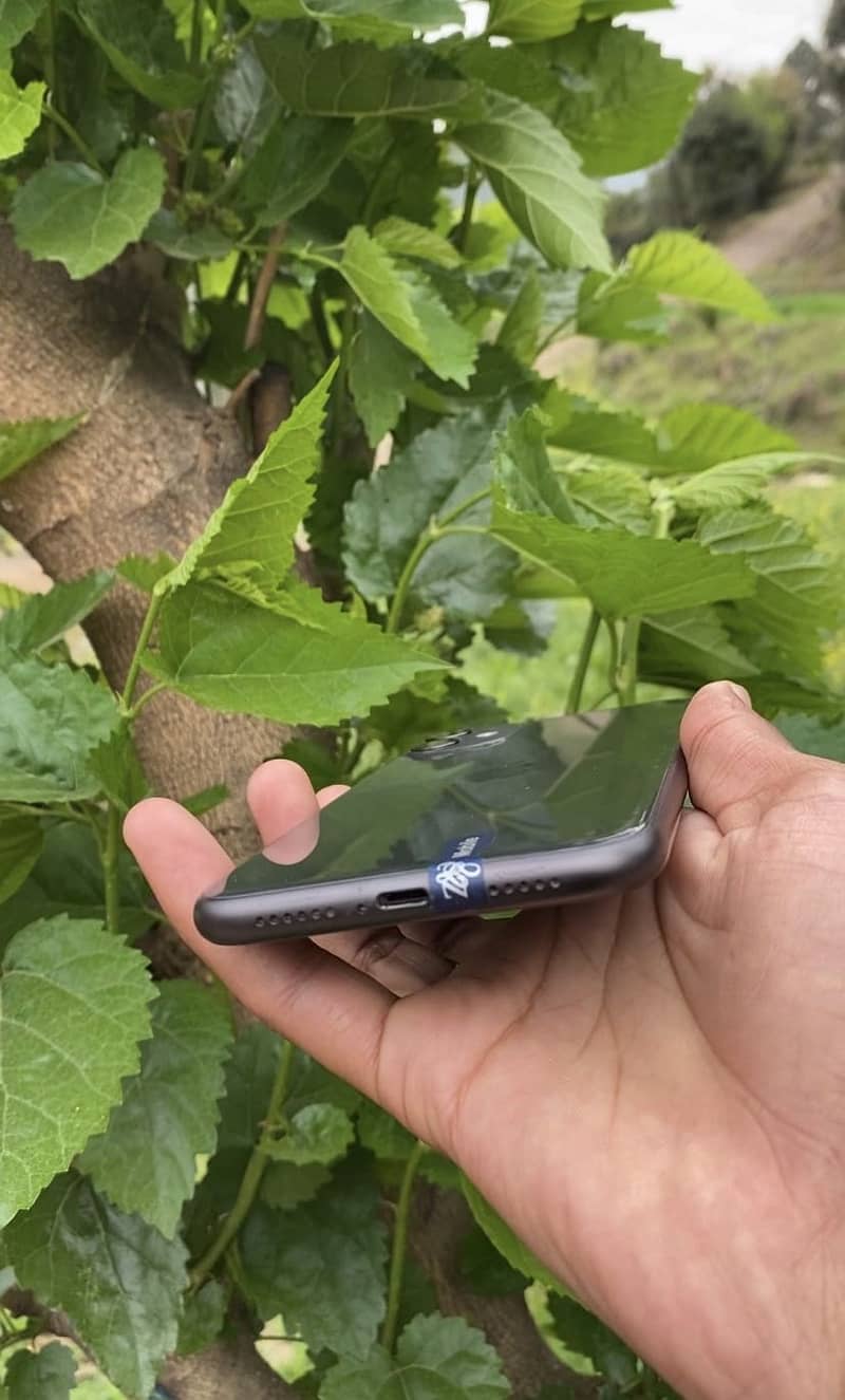 Apple iPhone 11 2