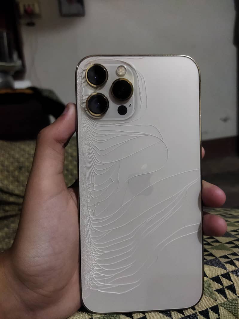 Apple iPhone 12 Pro Max 0
