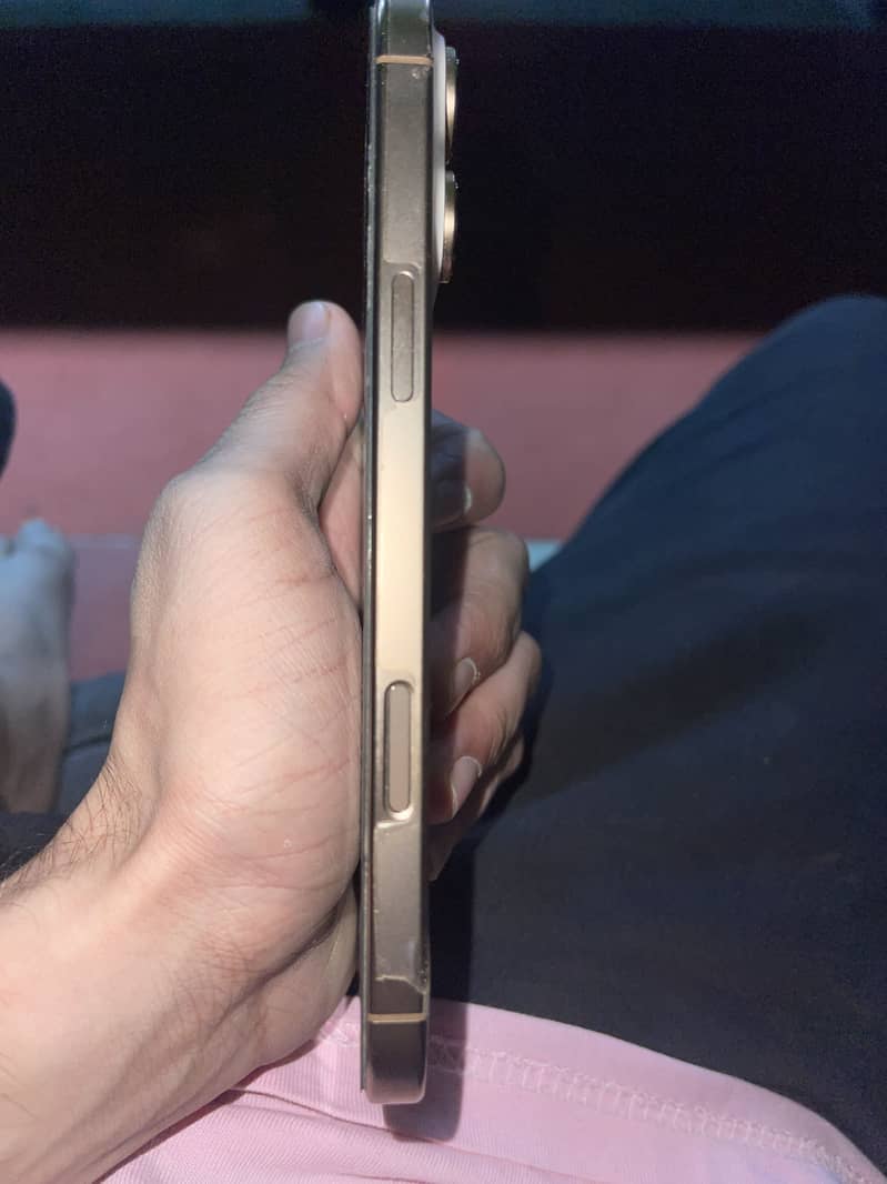 Apple iPhone 16 Pro Max 1