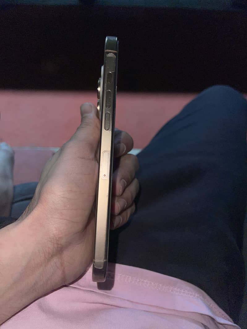 Apple iPhone 16 Pro Max 10