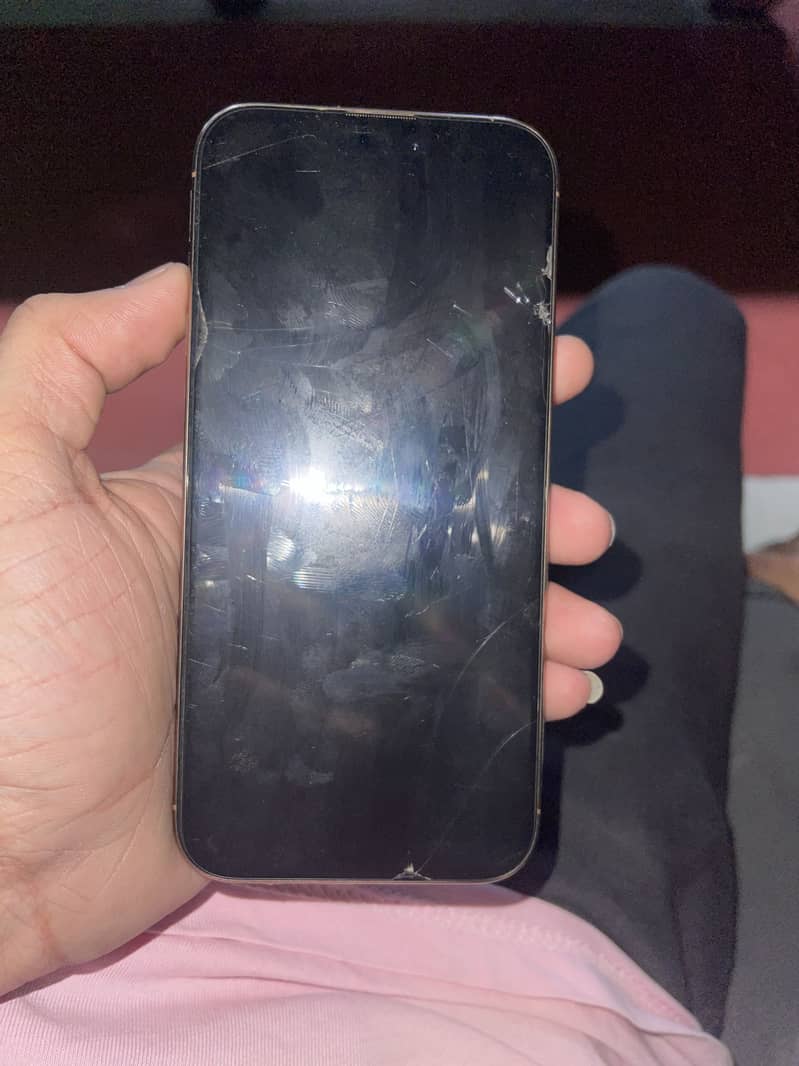 Apple iPhone 16 Pro Max 13