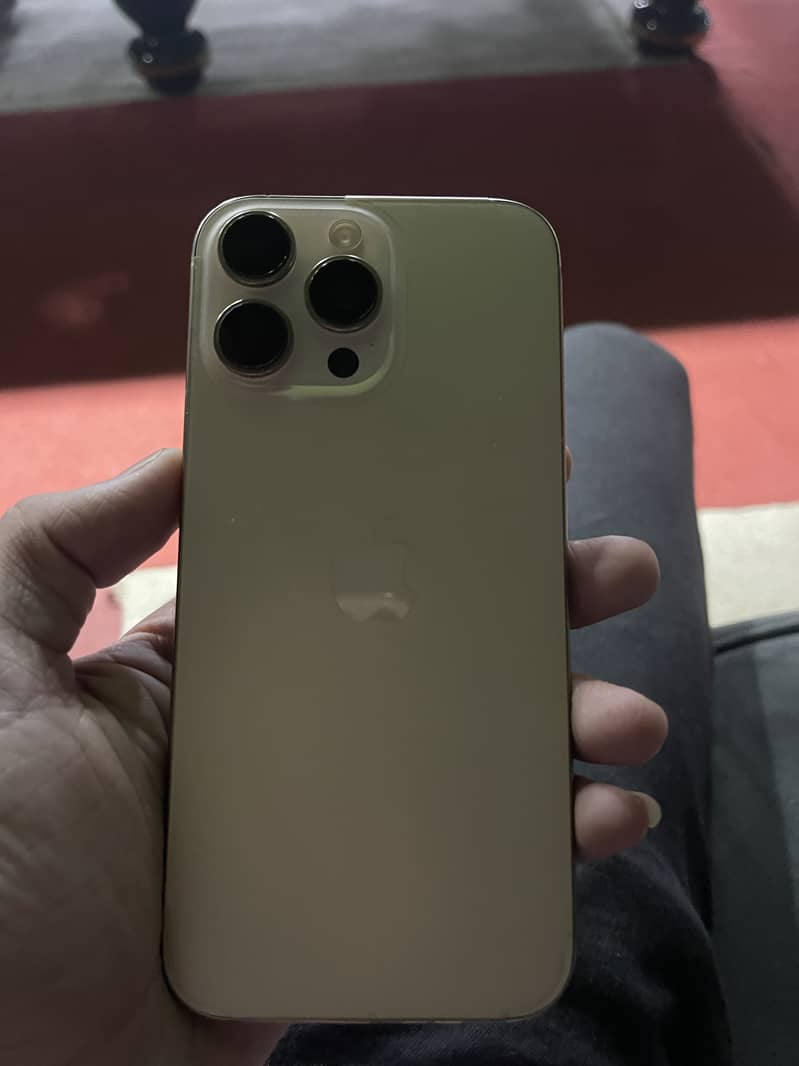 Apple iPhone 16 Pro Max 14