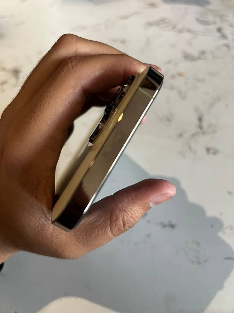 Apple iPhone 14 Pro Max 5