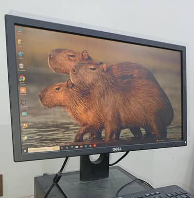 Dell Monitor (Damaged)