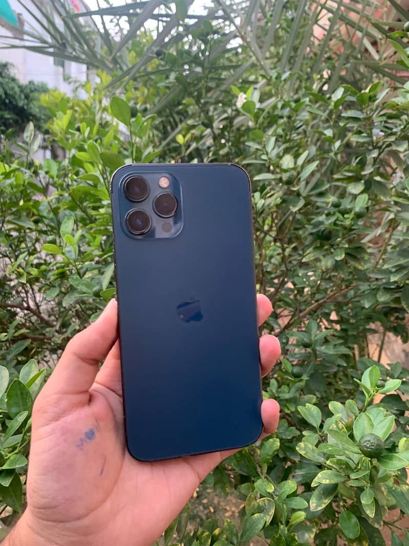 Apple iPhone 12 Pro Max 0
