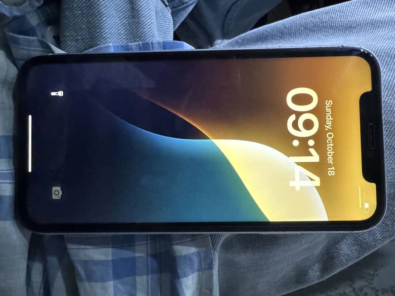 Apple iPhone 11 0