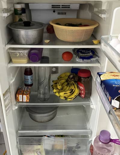 Panasonic Fridge Non-Frost (Medium Size)