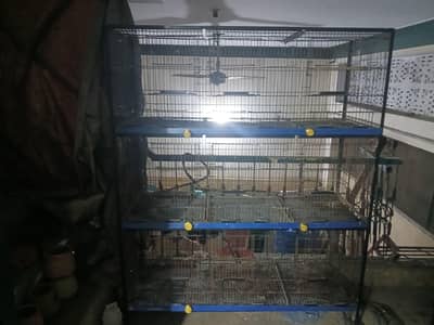 Cages for Bird