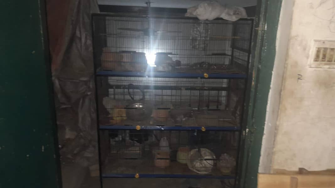 Cages for Bird 1