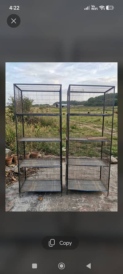 iron cages