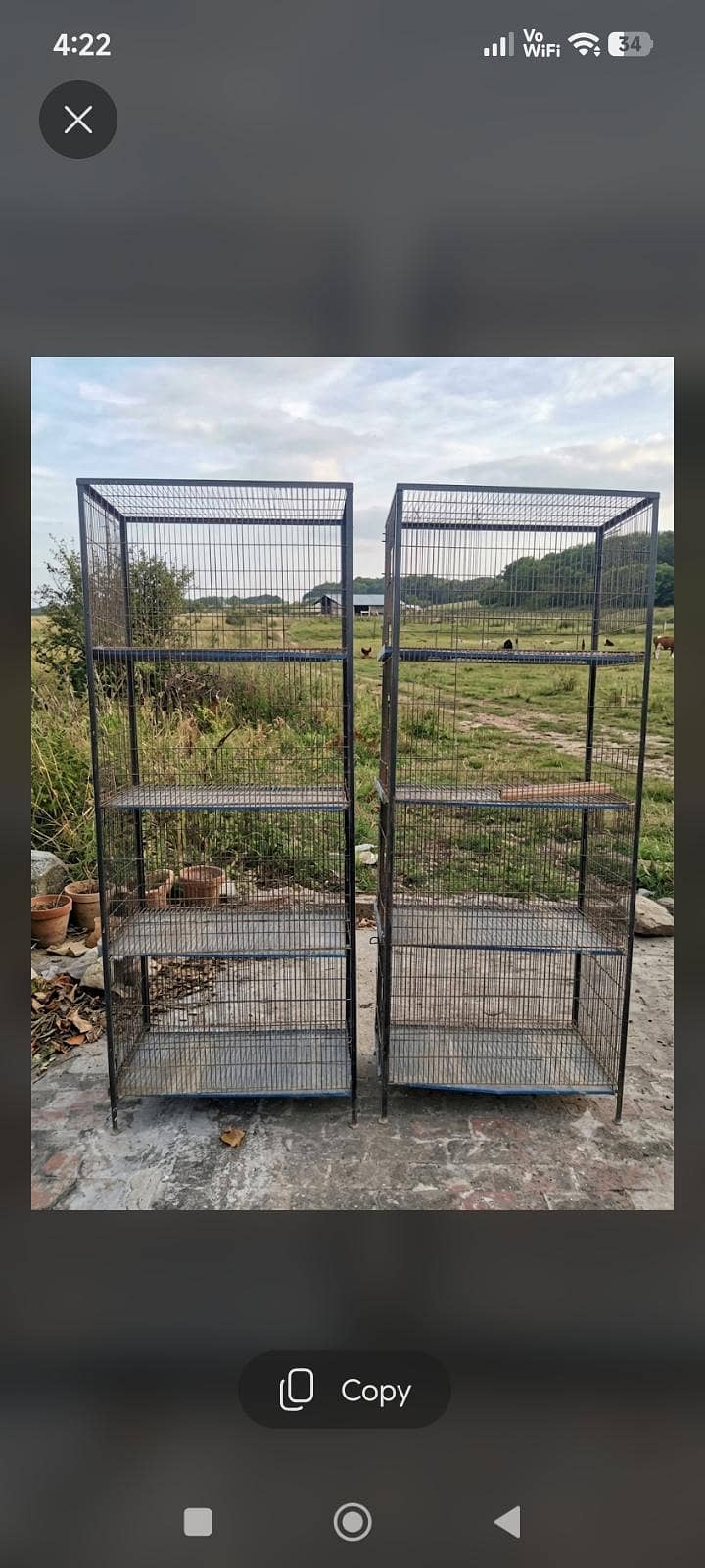 iron cages 0