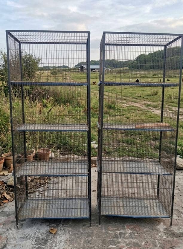 iron cages 1