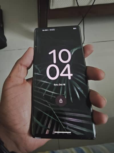 Google Pixel 6 Pro