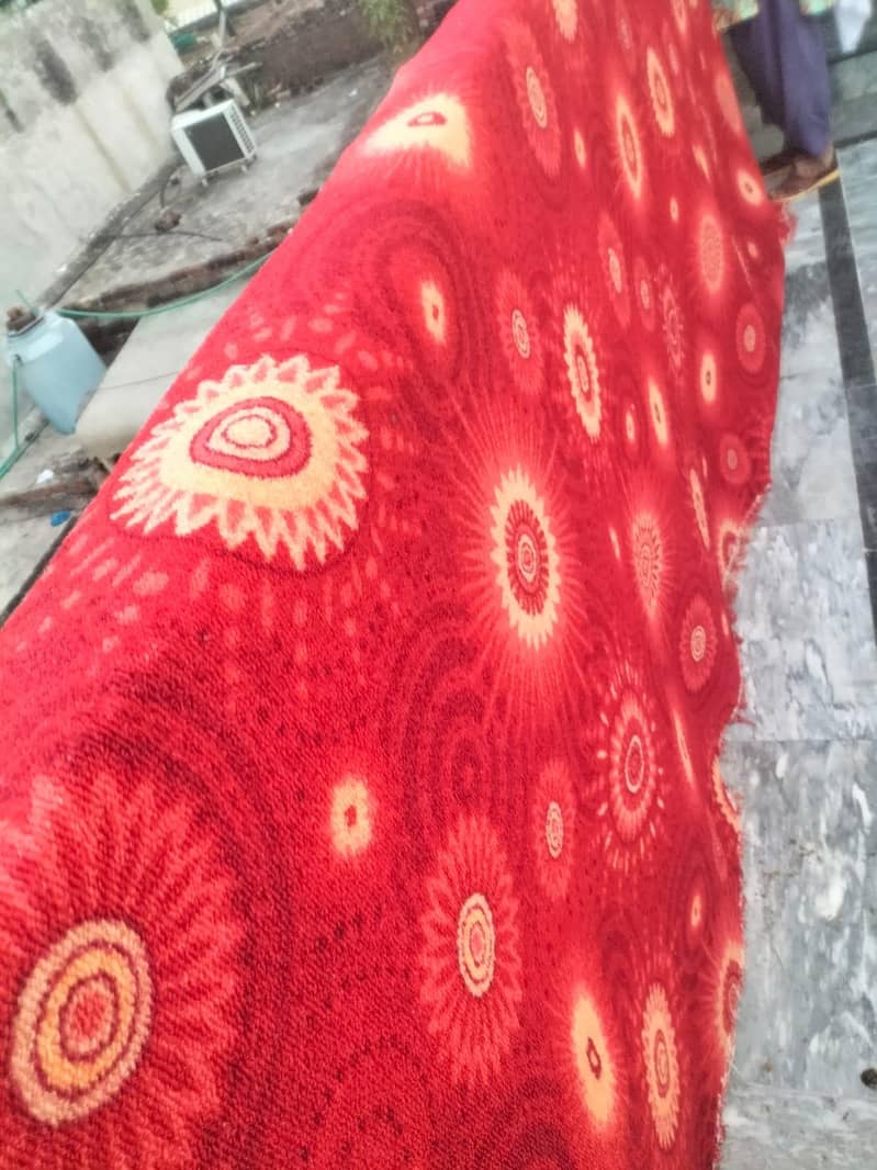 3 carpet 1