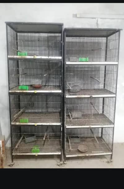 cages and breeding boxes