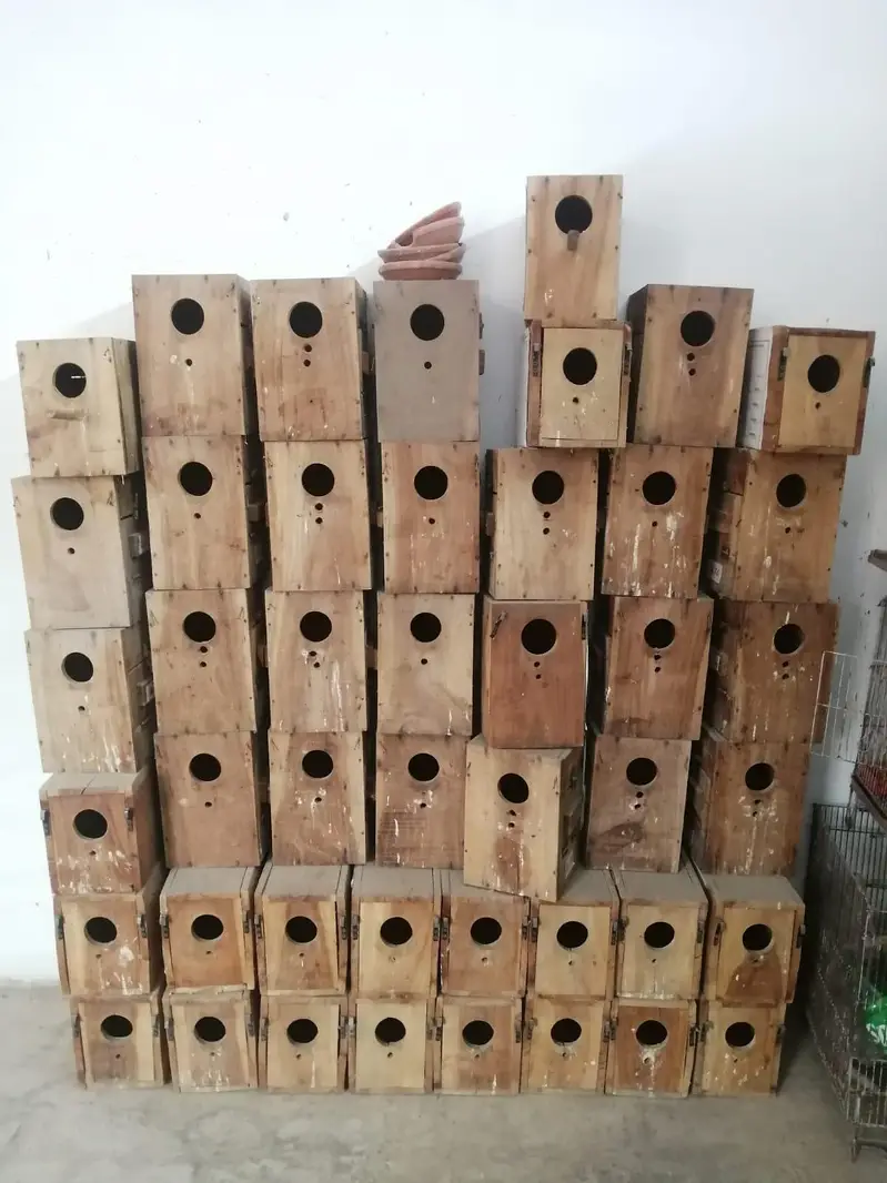 cages and breeding boxes — photo 2